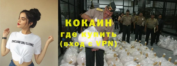 тгк Арсеньев