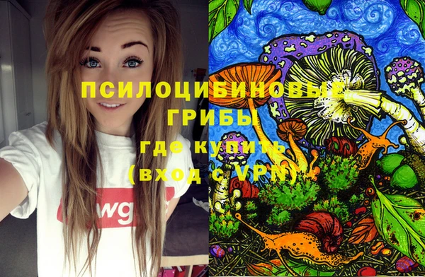тгк Арсеньев