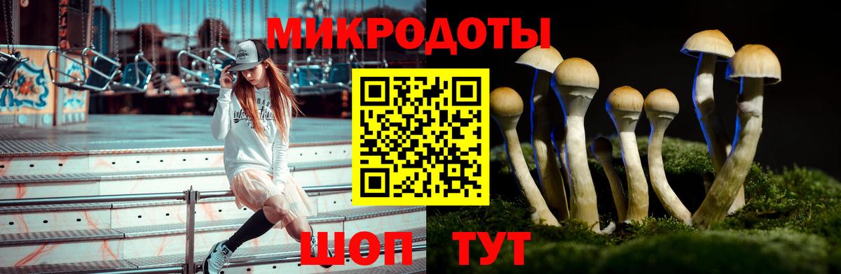 Псилоцибиновые грибы MAGIC MUSHROOMS  Вход с VPN  Переславль-Залесский  Псилоцибиновые грибы Psilocybine cubensis 